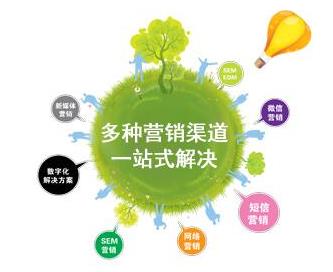 網(wǎng)站設(shè)計與網(wǎng)絡(luò)技術(shù)開發(fā) 專業(yè)服務(wù)歡迎來電咨詢