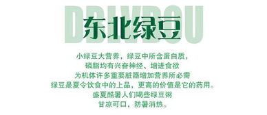 龍江綠寶，有機(jī)臻選 黑龍江笨綠豆的純樸饋贈